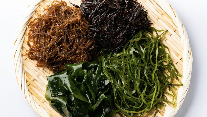 海藻、萬能な健康食材